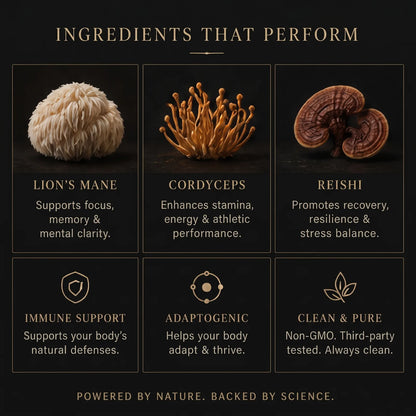 Stryō Core · Bandes concentrées aux champignons