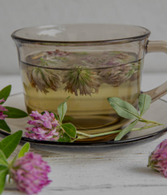 Red Clover Extract